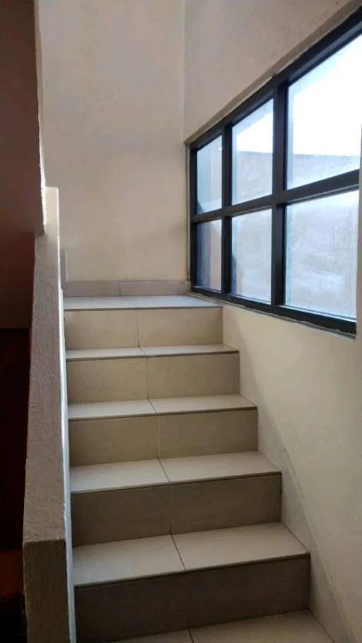 Retoño Iztapalapa 309 16