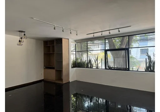 Luz Saviñon Narvarte S/N 10