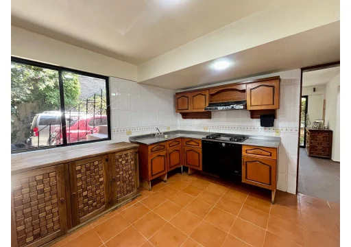 Eucalipto Granjas Navidad EB-VX2583 150m2 S/N 18