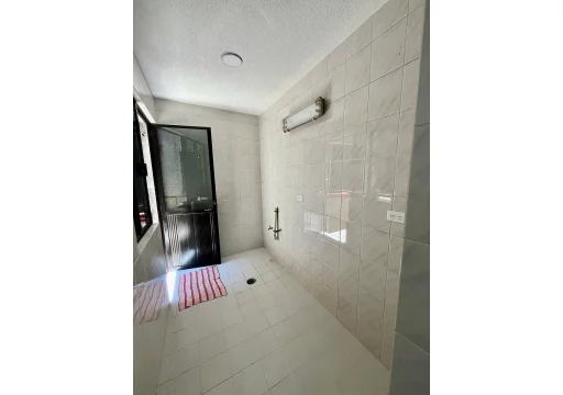 Eucalipto Granjas Navidad EB-VX2583 150m2 S/N 19