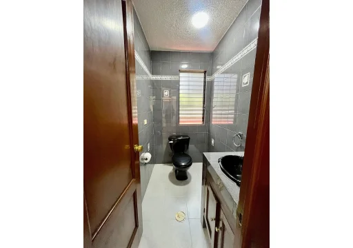 Eucalipto Granjas Navidad EB-VX2583 150m2 S/N 7