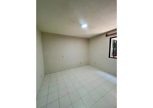Eucalipto Granjas Navidad EB-VX2583 150m2 S/N 9