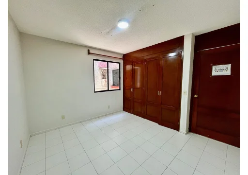 Eucalipto Granjas Navidad EB-VX2583 150m2 S/N 10