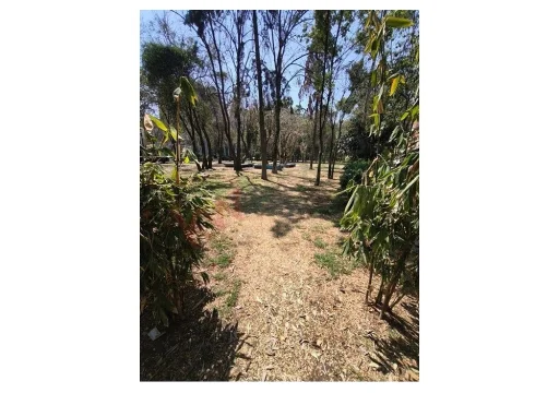 Paseo de los Fresnos Paseos de Taxquena EB-VW2379 14000 56m2 S/N 18