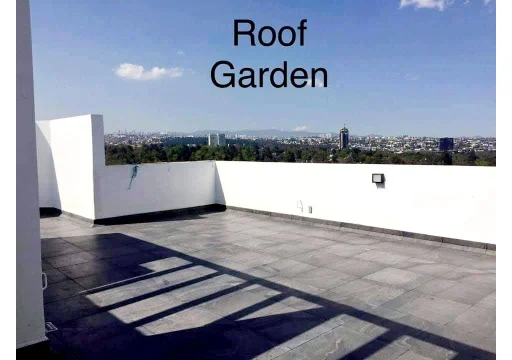 Insurgentes Sur 2239 San Angel EB-PJ9526 30000 163m2 12