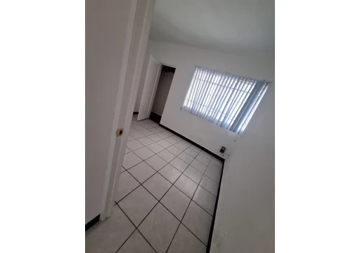 6545