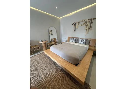 Alfonso XIII Loft EB-VG2290 12000 SNm2 1