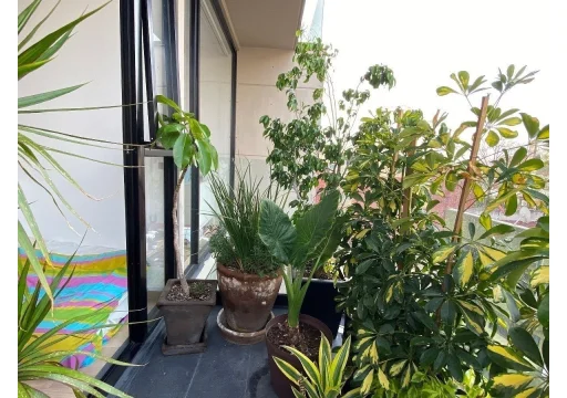 Amores 32 Unico del Valle EB-VH3234 6500000 95m2 16