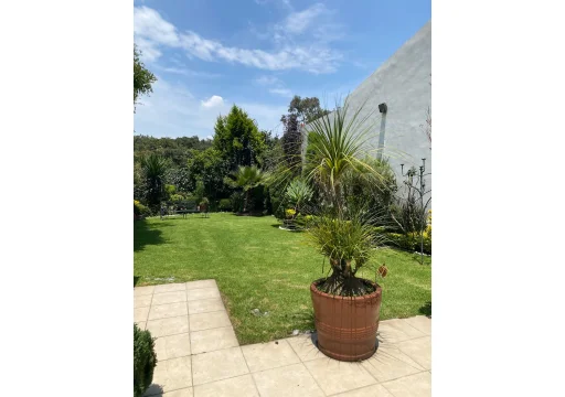 Calzada de las Aguilas Lomas Guadalupe EB-UD7652 7000 5m2 9