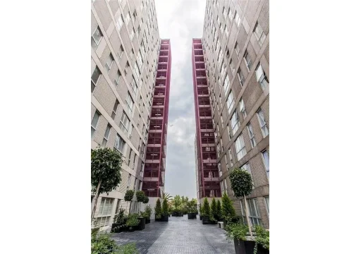 6627