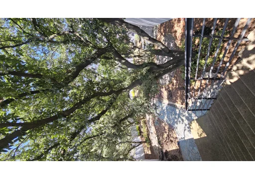 Nogales 7 Rancho San Juan Pulppo 46000000 1150m2 74