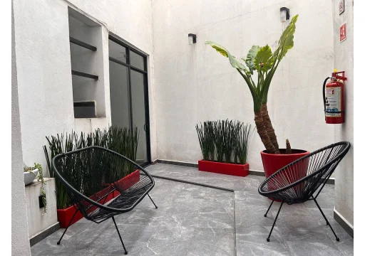 Olivo 589 La Raza EB-VZ8437 9000 20m2 9