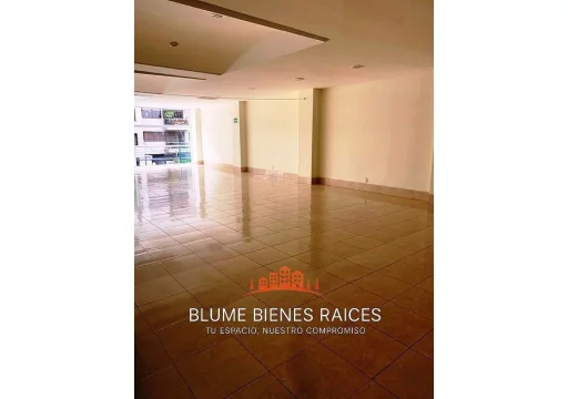 Temistocles Polanco IV Seccion EB-WK7417 38000 100m2 15