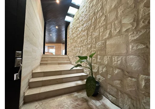 Paseo Del Pedregal Jardines Del Pedregal EB-VZ8485 155000 530m2 S/N 3