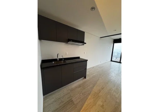 Marina Nacional 385 Veronica Anzures EB-UY9693 3990000 60m2 16