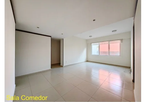 7291