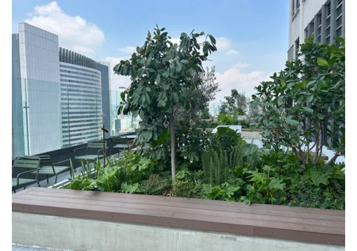 Be Grand Reforma Tabacalera EB-QS0048 28000 59m2 5
