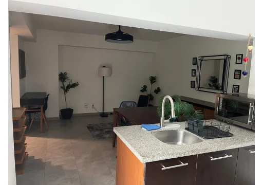 Departamento en renta en Juarez - Cuauhtémoc - ref 7716 28