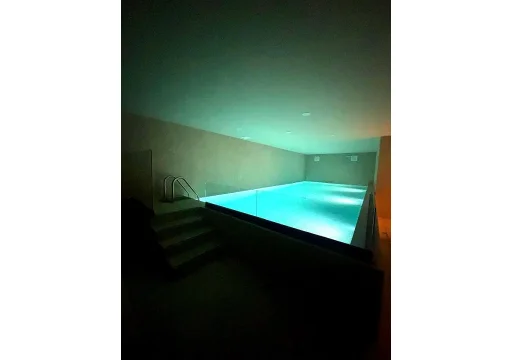 7767