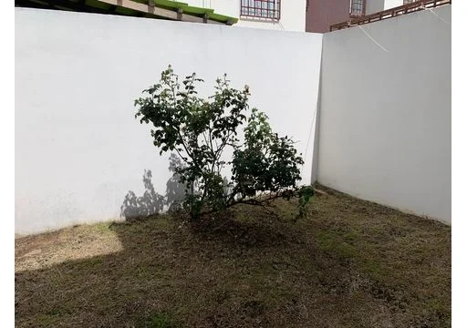 Casa en renta en Colinas de la Piedad - El Marqués - ref 7772 17