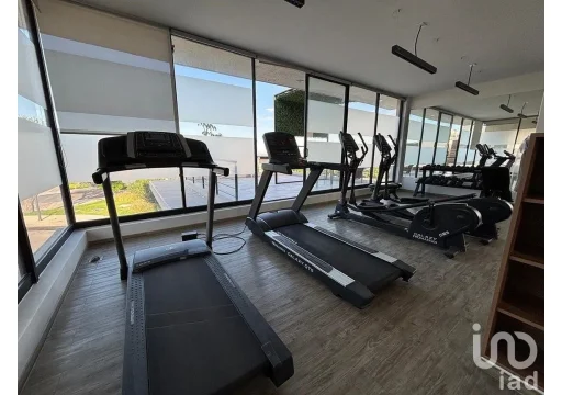 Departamento en renta en Zákia - El Marqués - ref 7858 24