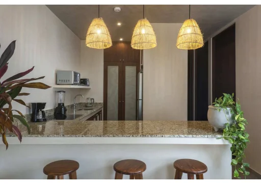 Aruna Tulum 201 Venta 4550000 21