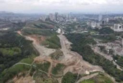 Lote Life - Tulipanes 13-11 10