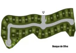 Lote Bosque de Oliva 1-21