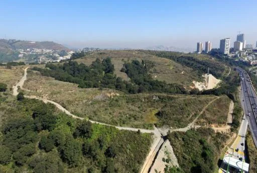 Lote Bosque de Jad IX-2-30 5