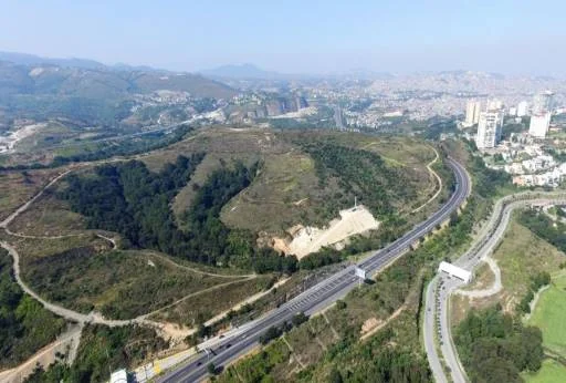 Lote Bosque de Jad IX-2-46 4