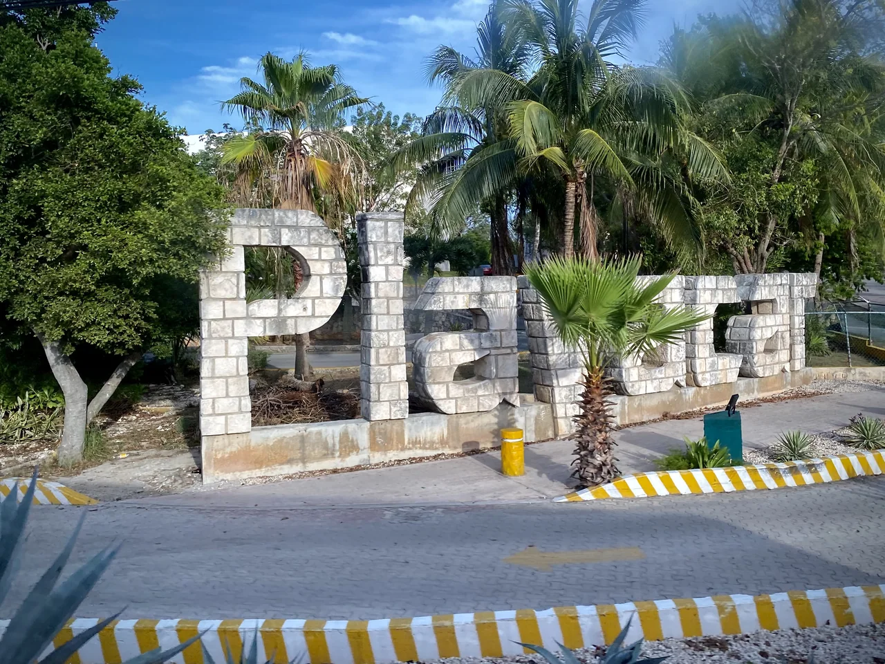 Ceiba At 25