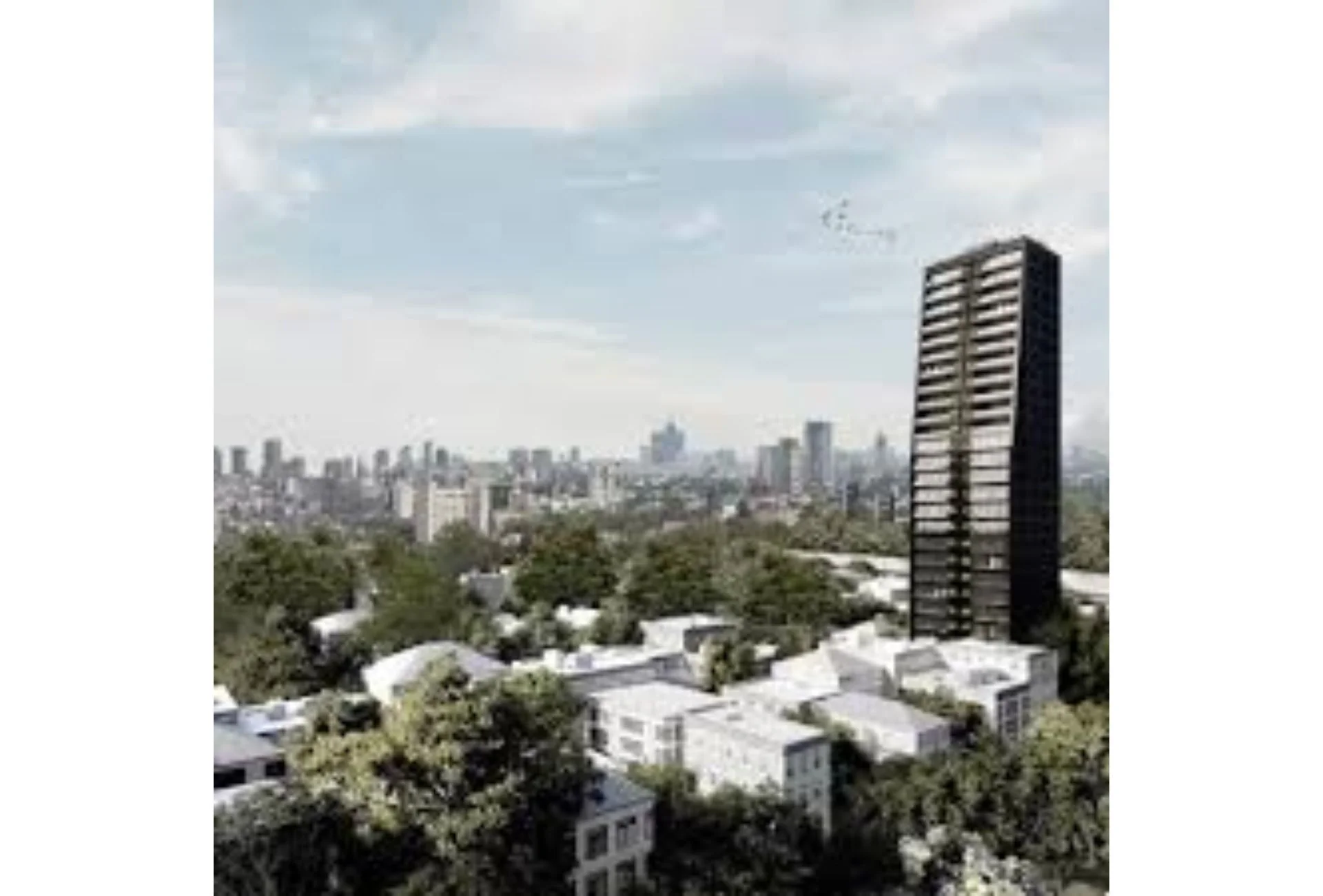 Image  3