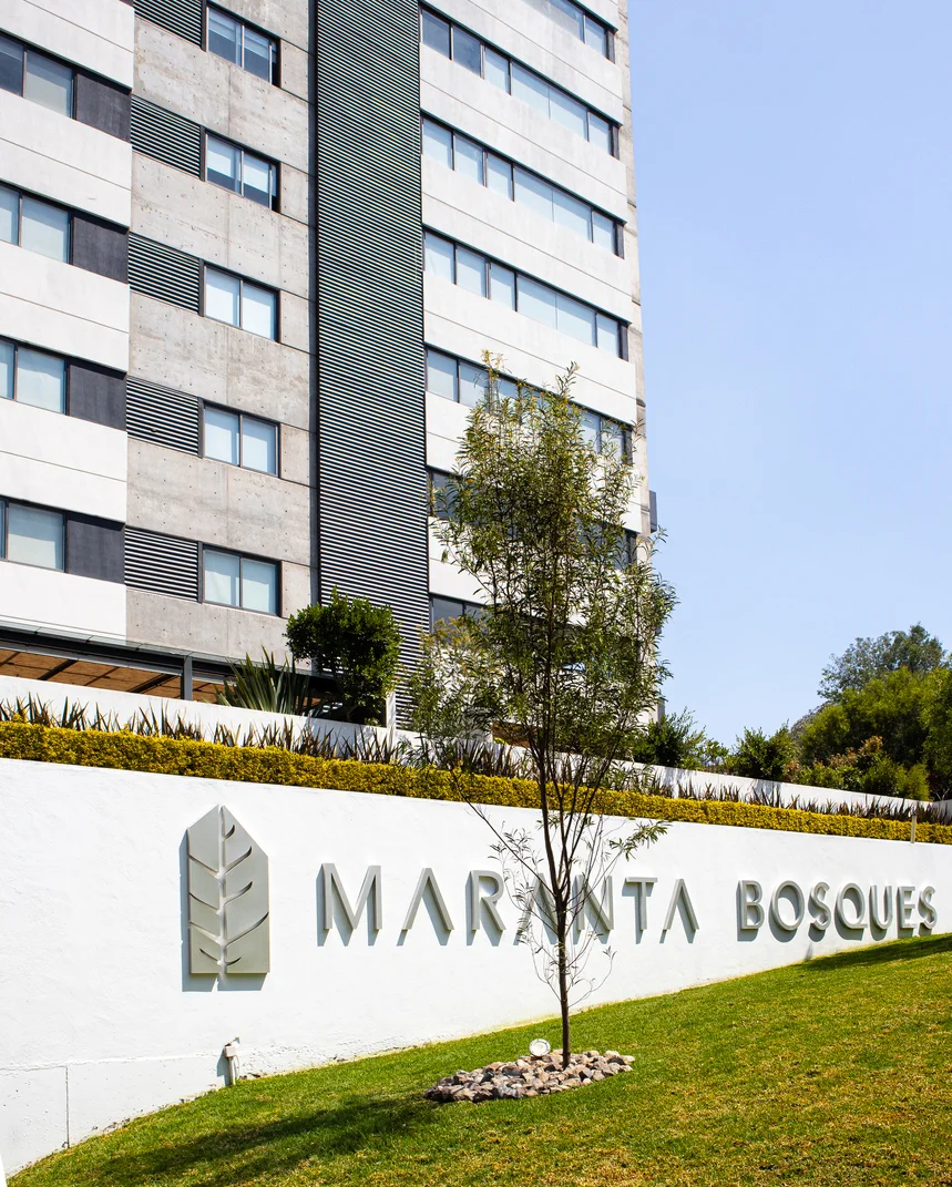 Image maranta_bosques 0