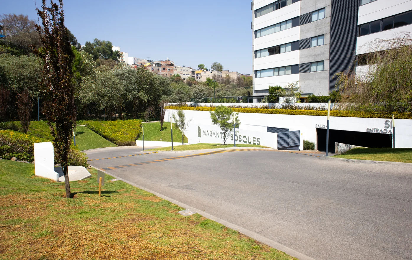 Image maranta_bosques 13