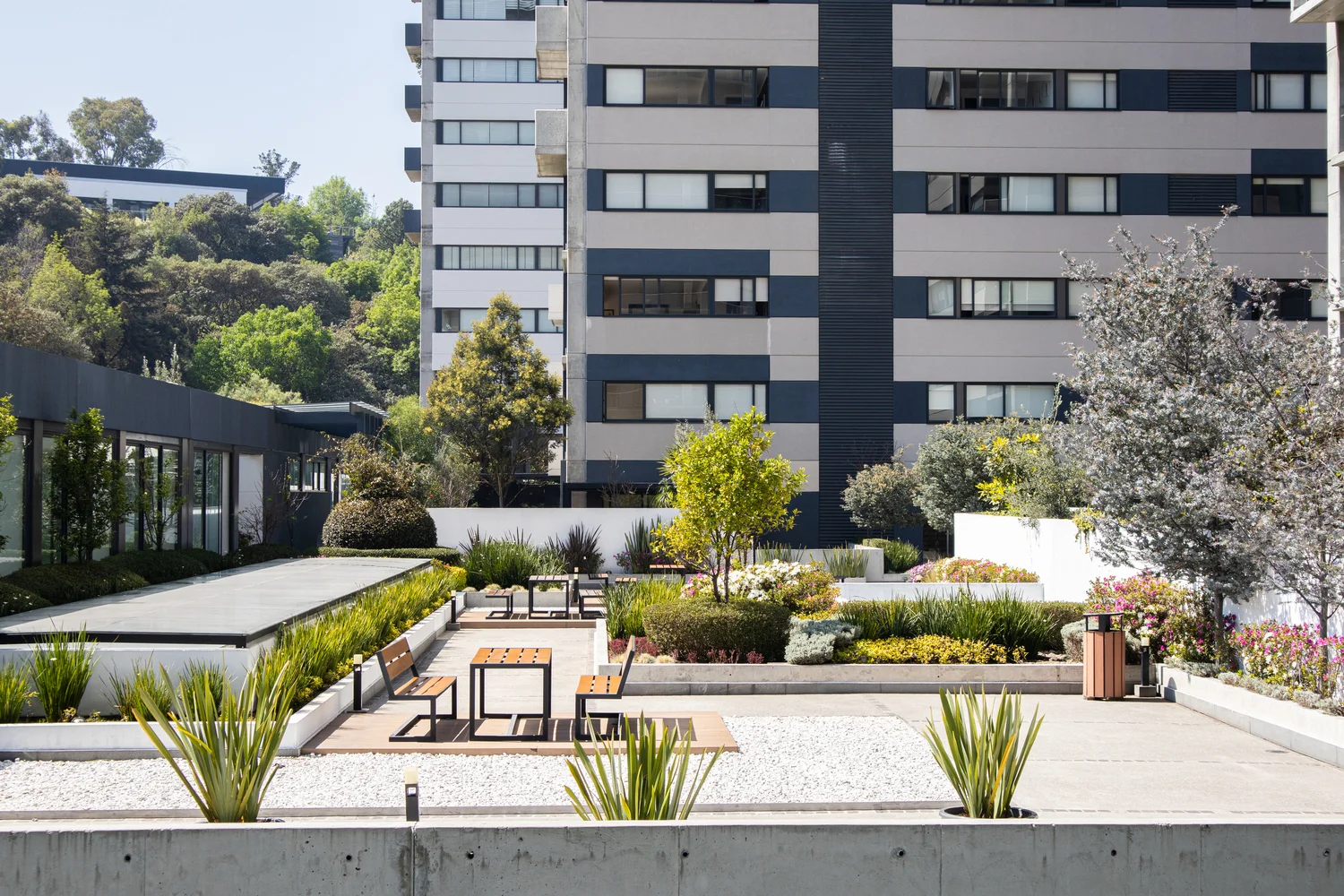 Image maranta_bosques 19