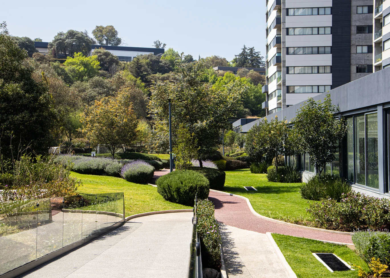 Image maranta_bosques 20