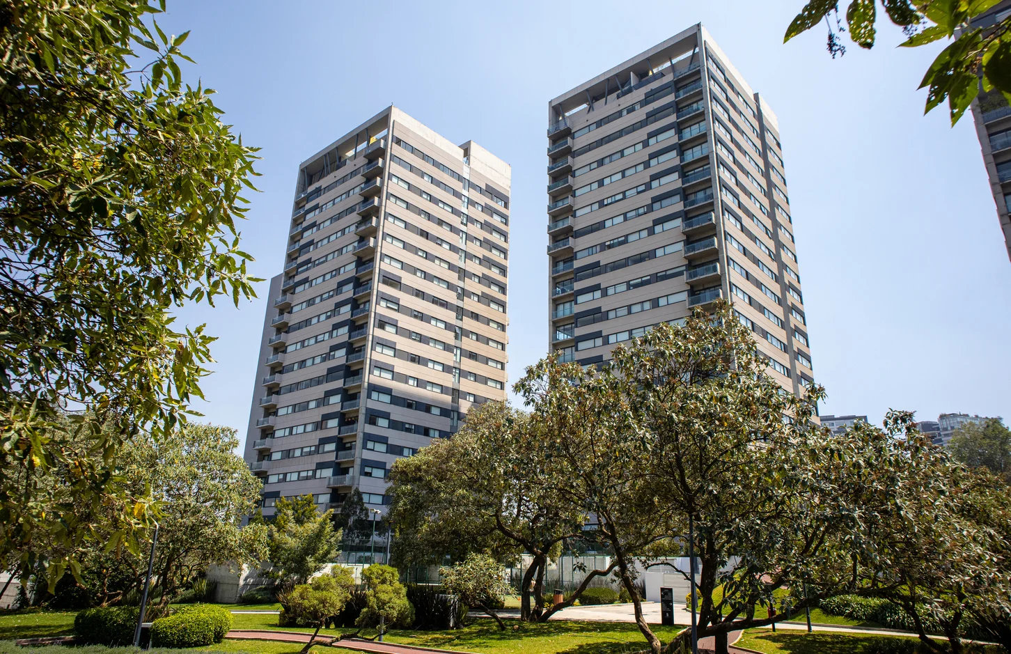Image maranta_bosques 41
