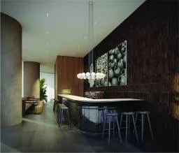 Image thompson_reforma 5