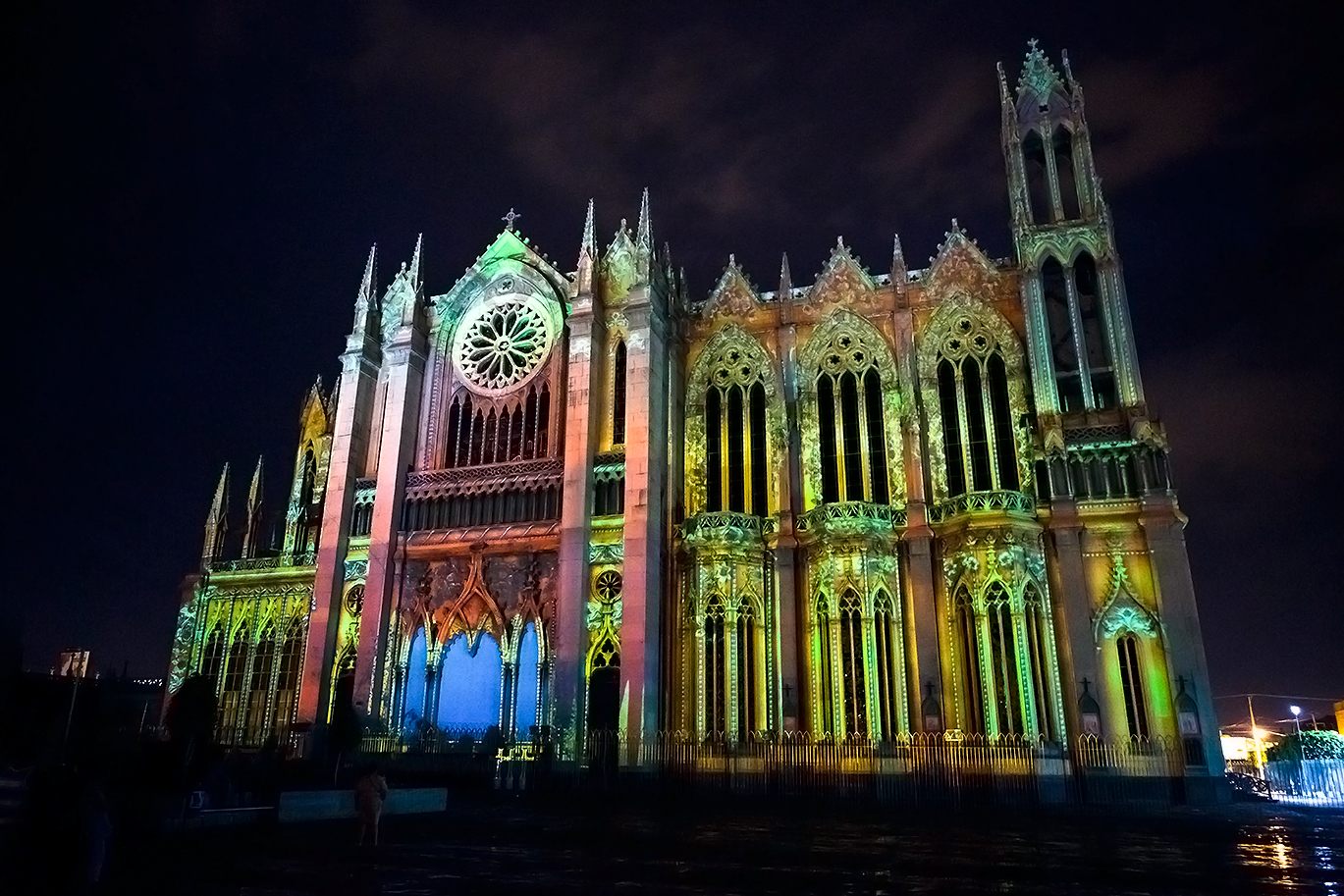 Image león 7