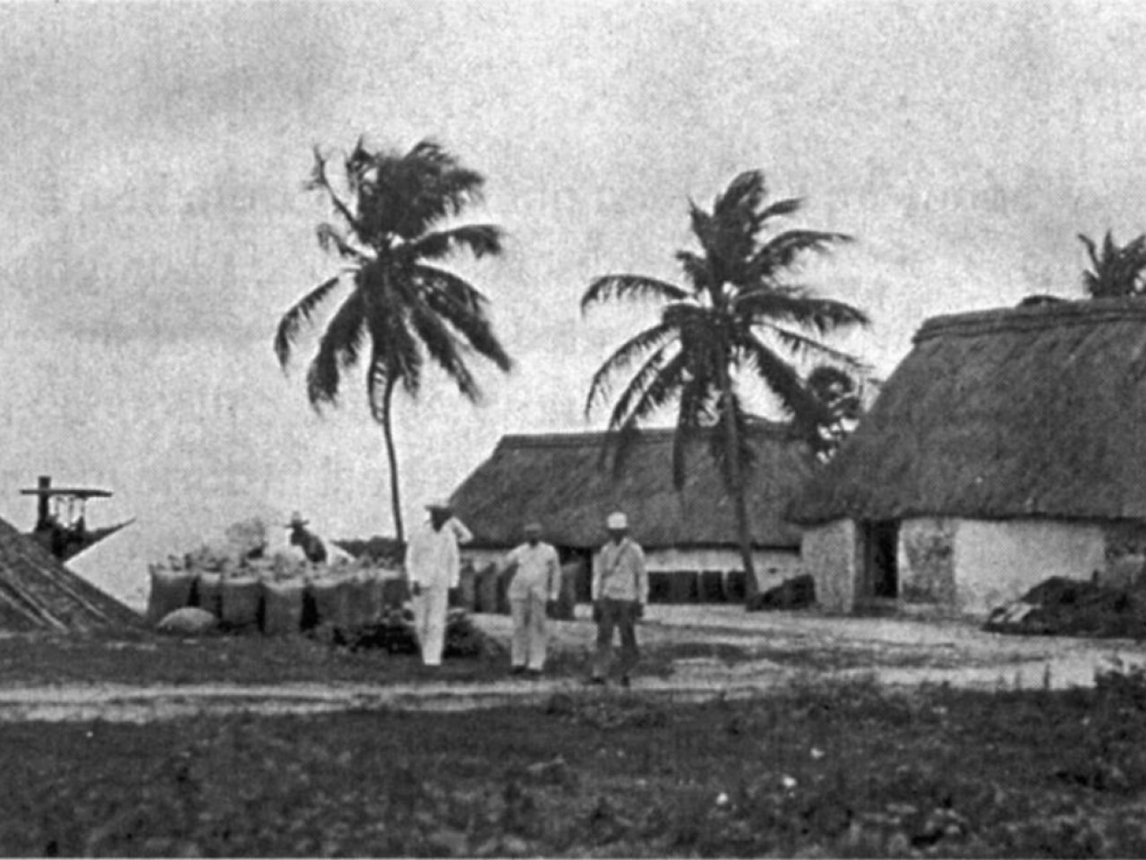 Image san_benito