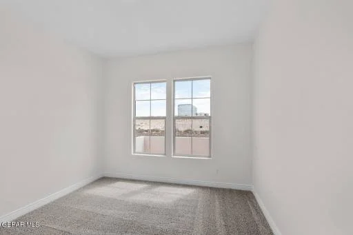 12537 Eltham Drive 18