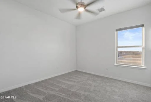 1099 Bronze Hill Avenue 22