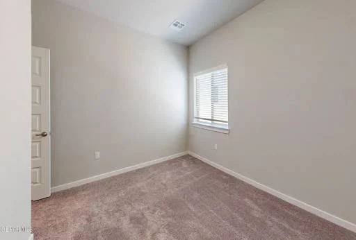 11109 Fiddleneck Street 37