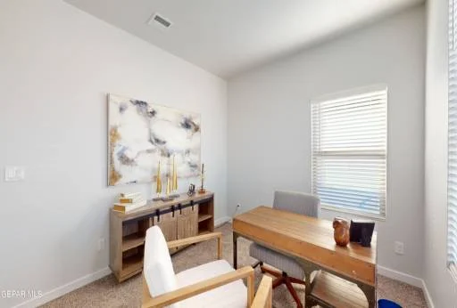 11110 Ground Cherry Street 14