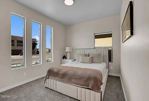 11114 Blue Eyed Grass Street 1