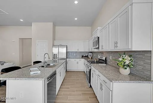 11114 Blue Eyed Grass Street 14
