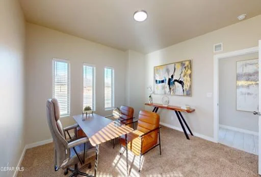 11114 Ground Cherry Street 21