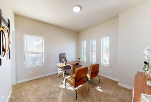11114 Ground Cherry Street 23