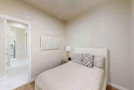 11114 Ground Cherry Street 29