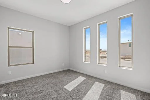 11126 Blue Eyed Grass Street 2